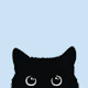 black cat I