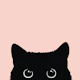 Black cat II