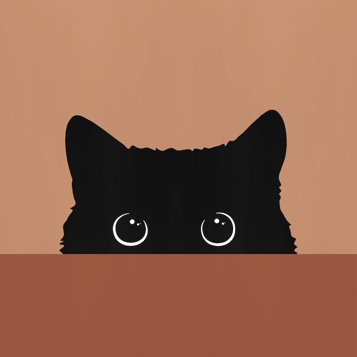 Black Cat III Wallpaper | Happywall