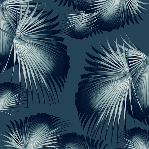 Fan Palm Leaves Paradise 12