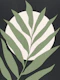 Organic nature VIII