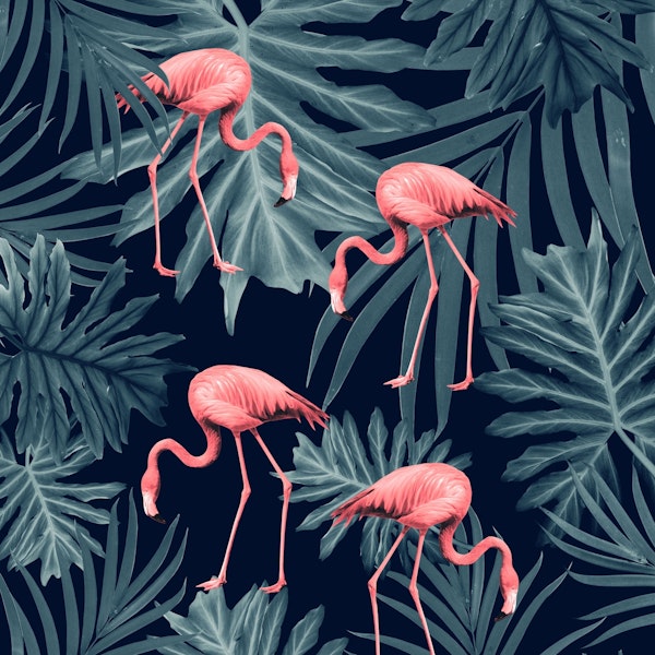Summer Flamingo Jungle Night 1