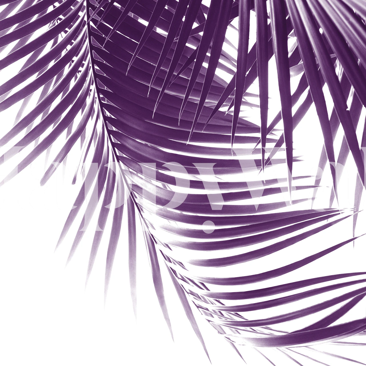 Purple palm leaves wallpaper with a white background, botanical style
