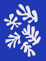 Inspired by Henry Matisse tapet