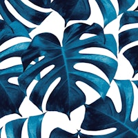 Tropical Monstera Leaves 8 tapeta