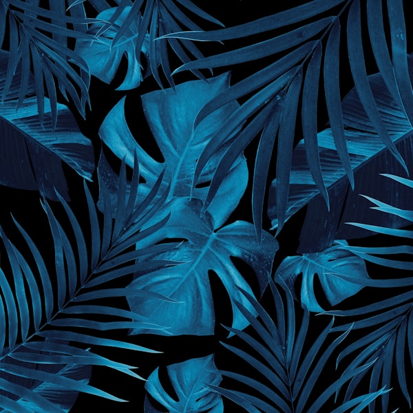 Tropical Jungle Night 2