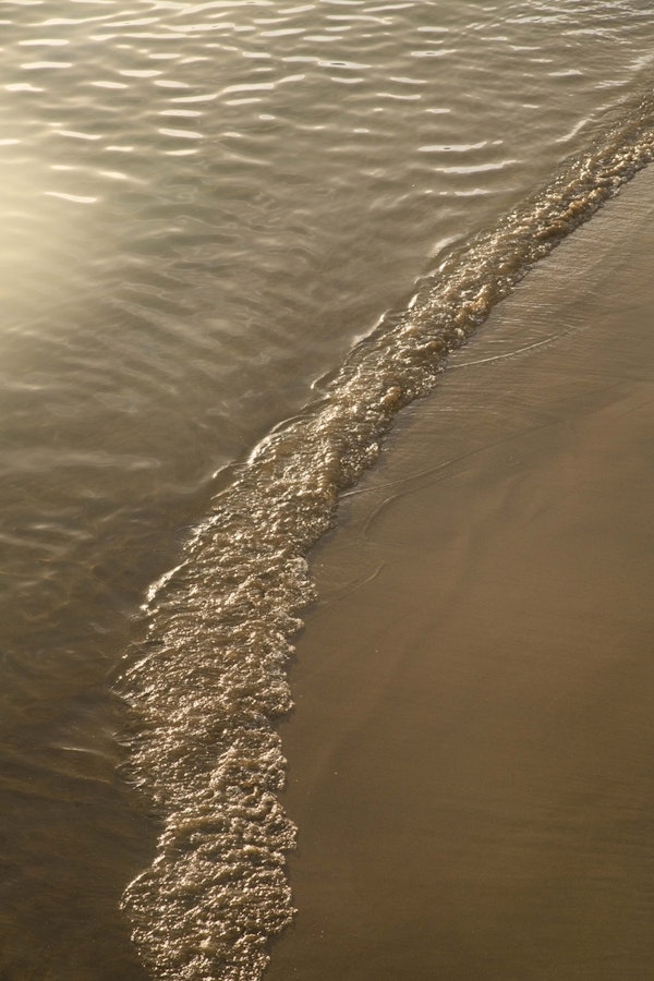 Golden Ocean Dream 1