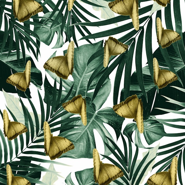 Tropical Butterfly Jungle 3