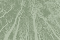 Soft Green Forest behang