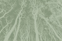 Soft Green Forest tapete