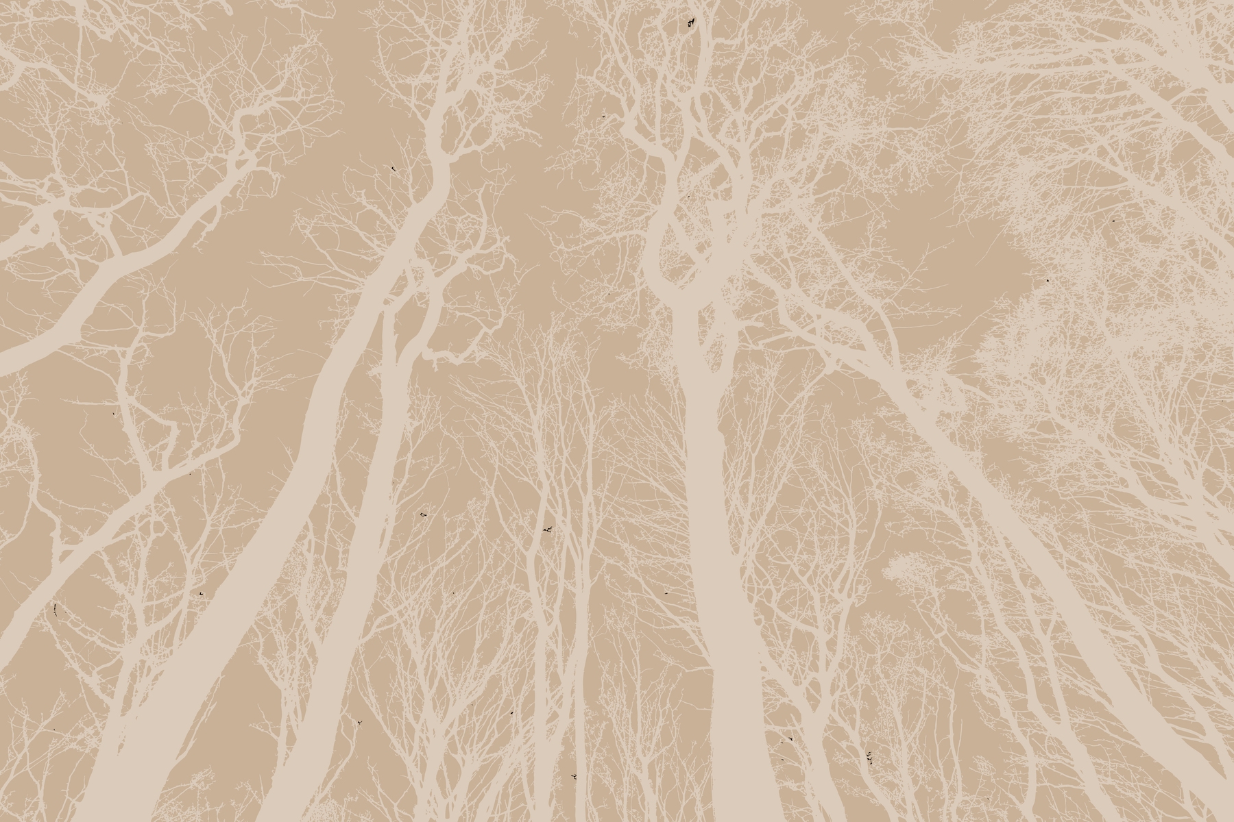 Warm Beige Forest Wallpaper - Buy Online | Happywall