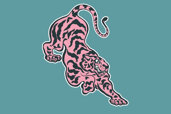 Pink Tiger on Aqua