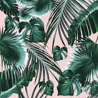 Tropical Jungle Leaves Dream 1 tapete
