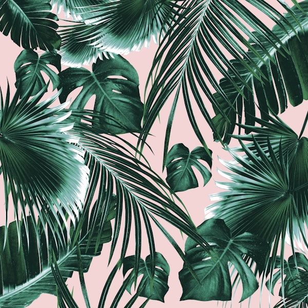 Tropical Jungle Leaves Dream 1