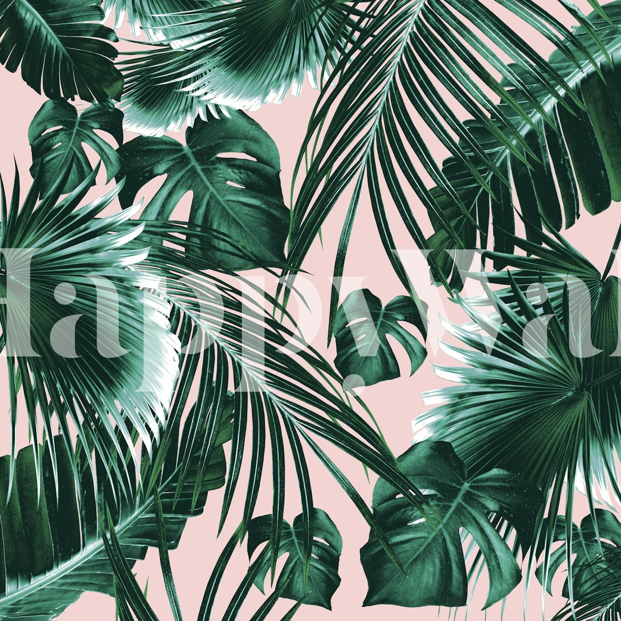 Green tropical leaves on a soft pink background wallpaper