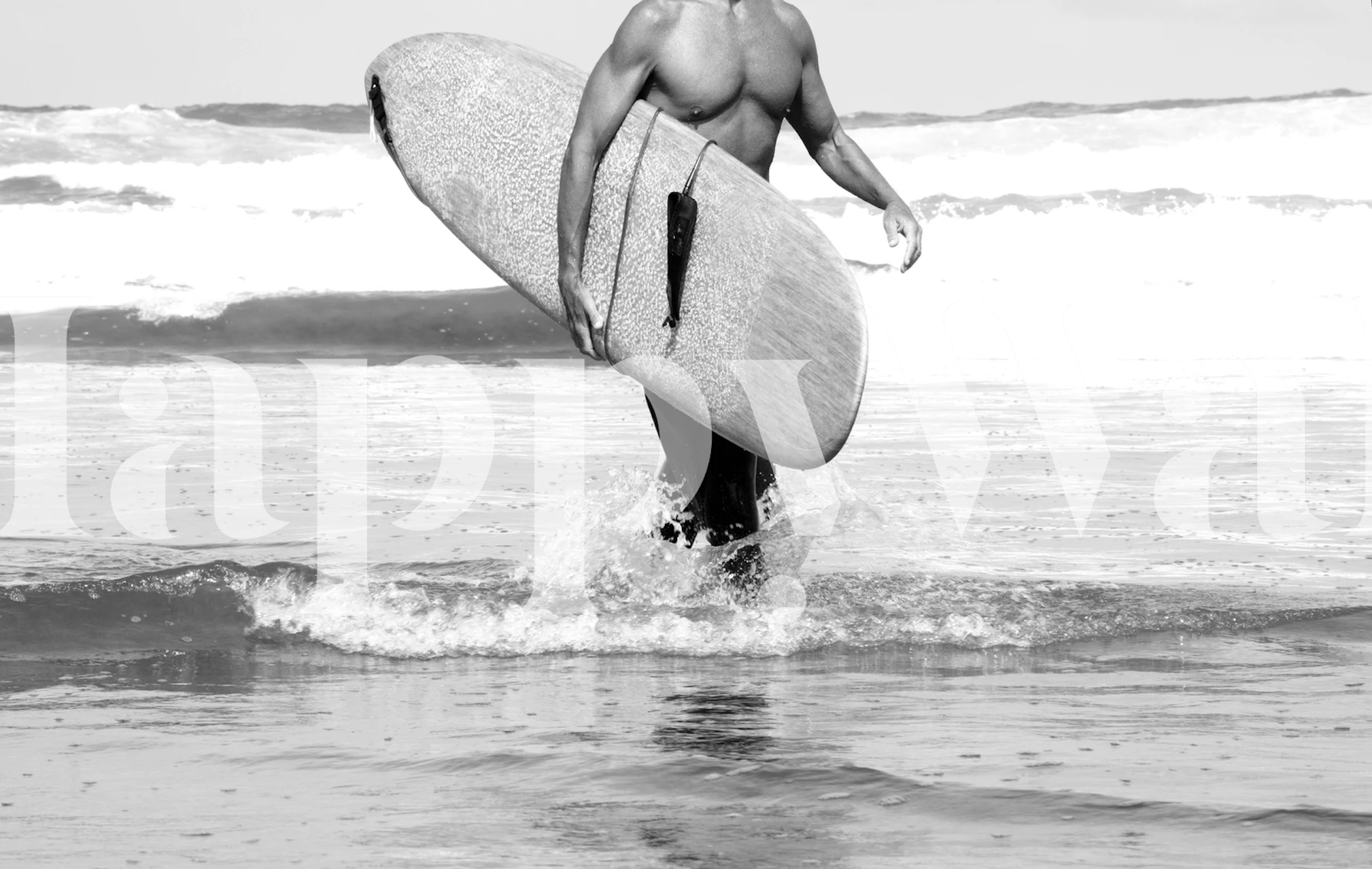 Surfer walking on beach in black and white