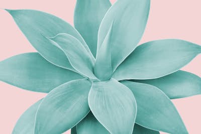 Τοιχογραφία