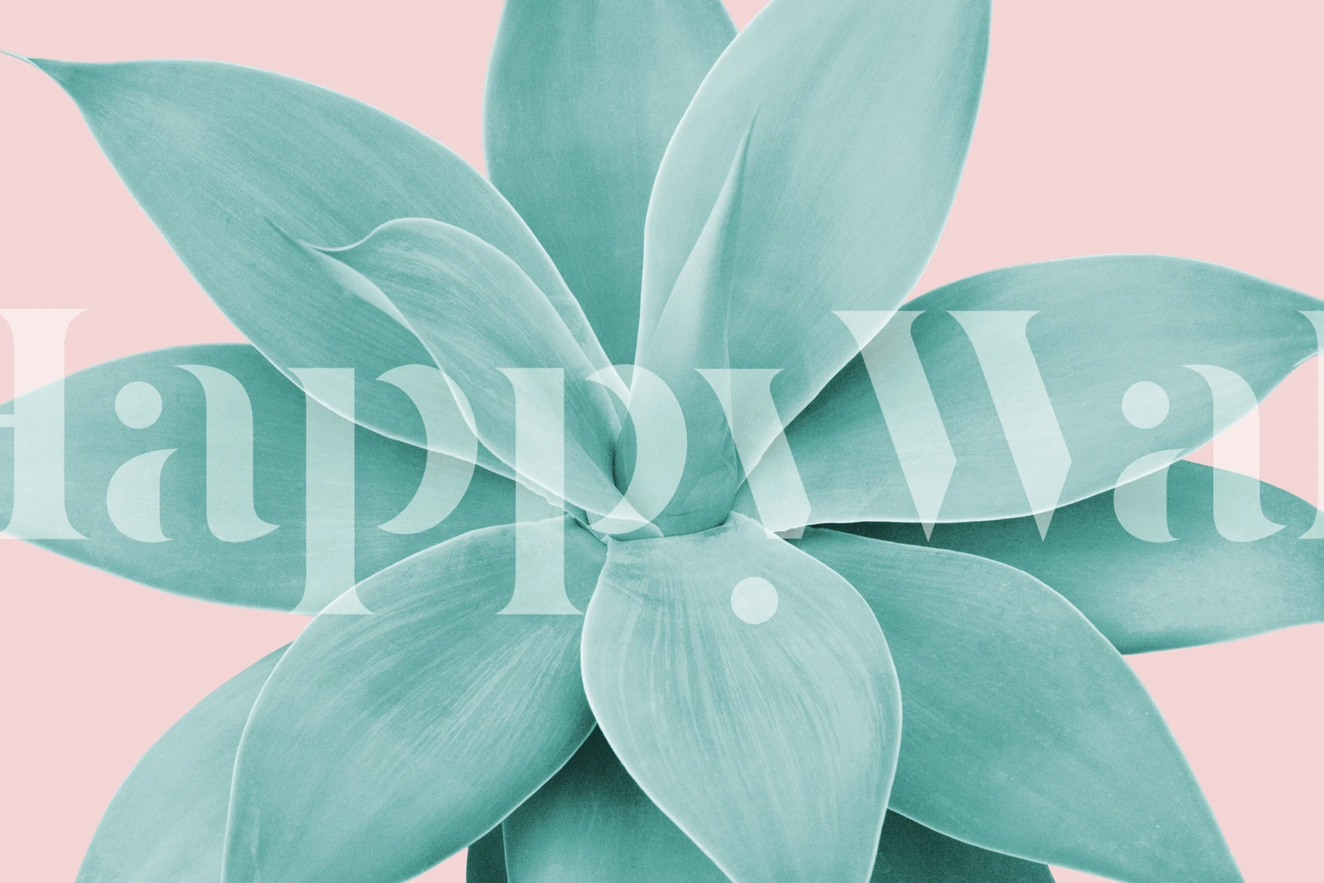 Blush rosa bakgrund med teal agave växt väggmålning