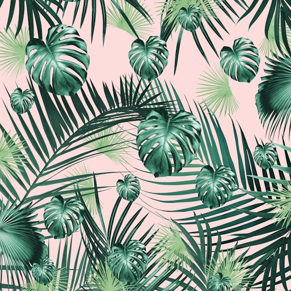 Tropical Jungle Garden 2