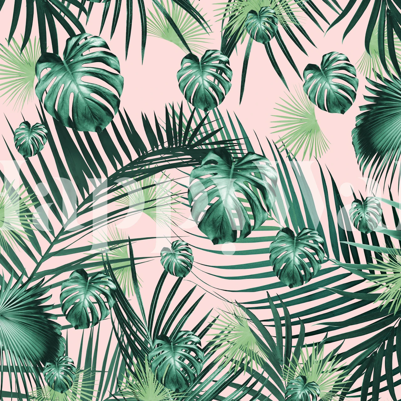 Tropical Jungle Garden 2 huoneasetelmassa