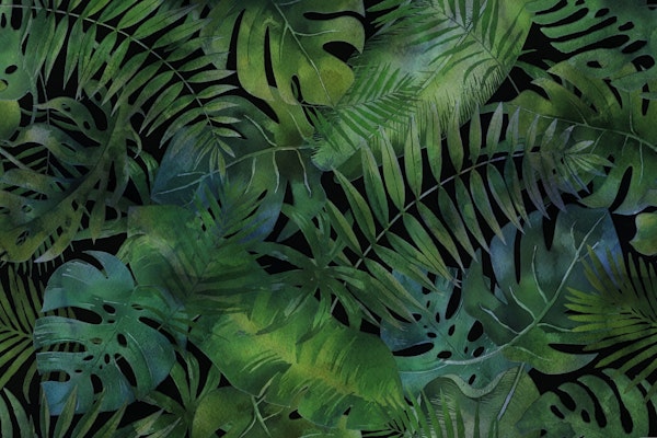 Mystic Jungle Emerald Green