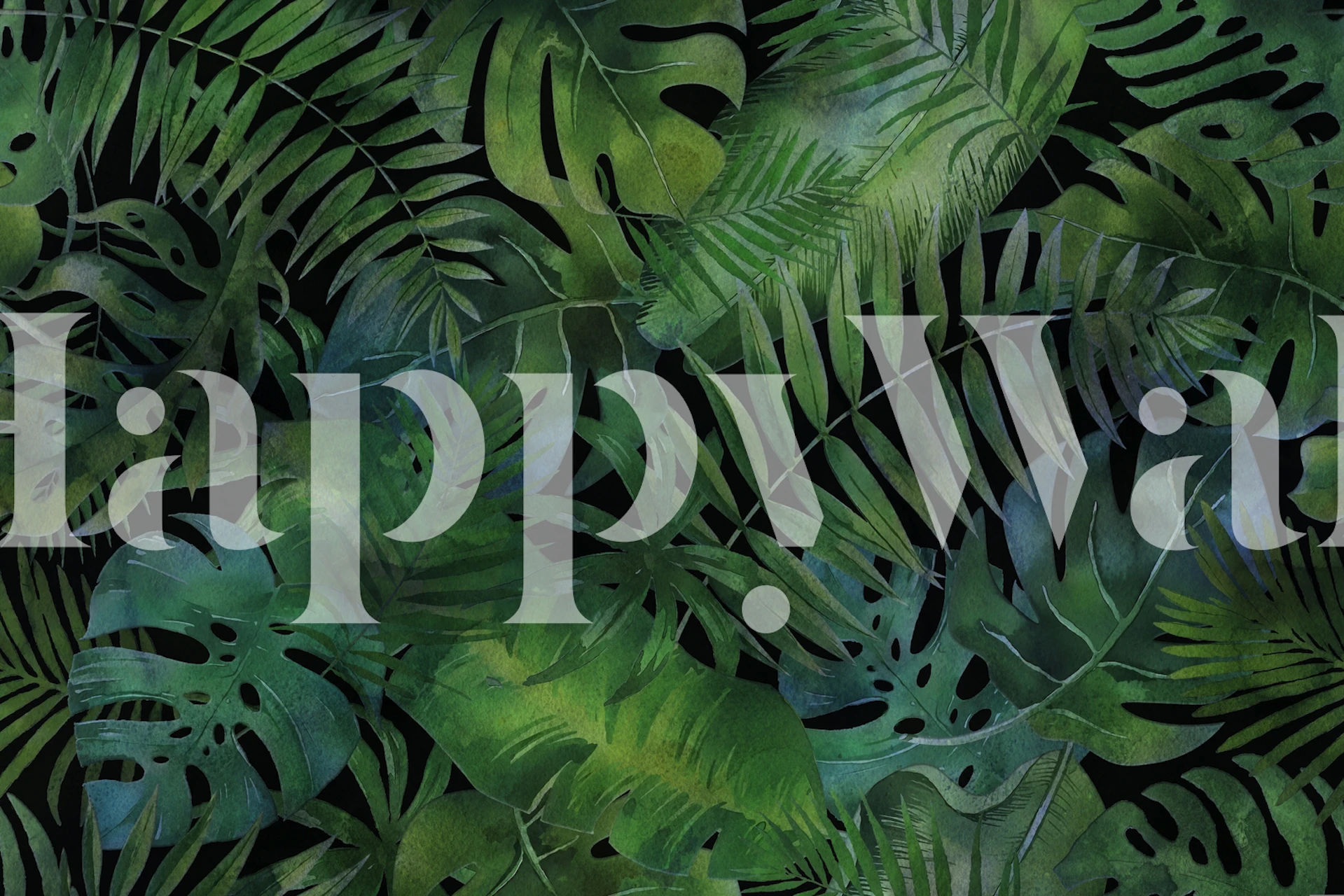 Tropical green leaves on a black background wallpaper