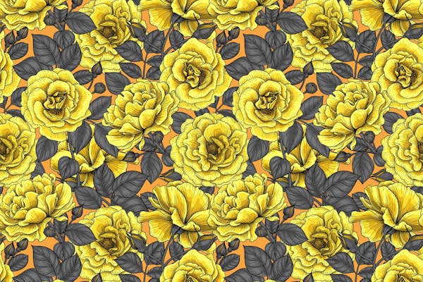 Yellow roses