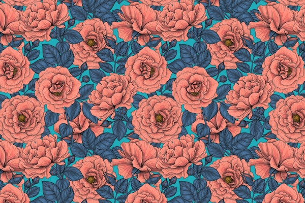 Pink roses on blue