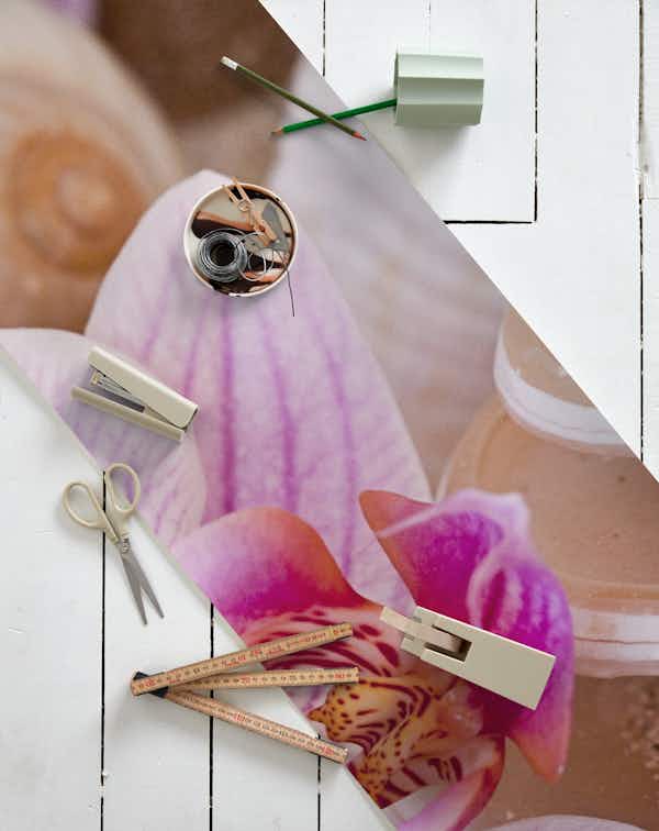 Orchid And Shells Still Life wallpaper roll