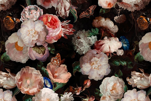 Peach Baroque Night Roses Garden