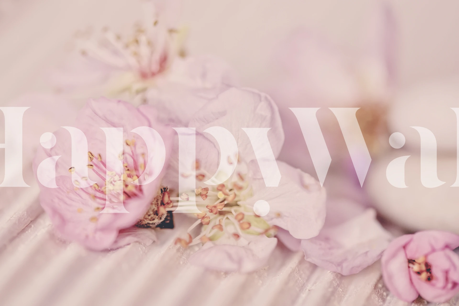 Soft pink pastel peach tree flowers wall mural