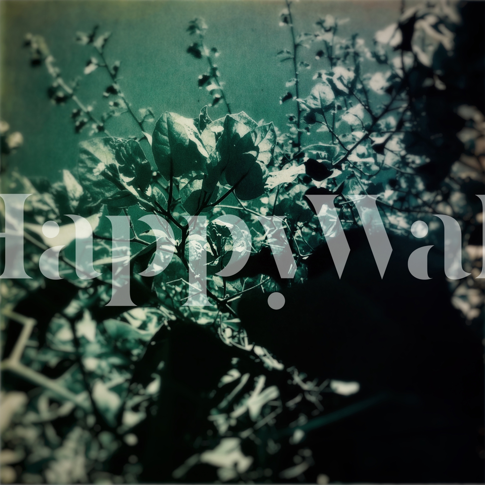 green-poem-wallpaper-happywall