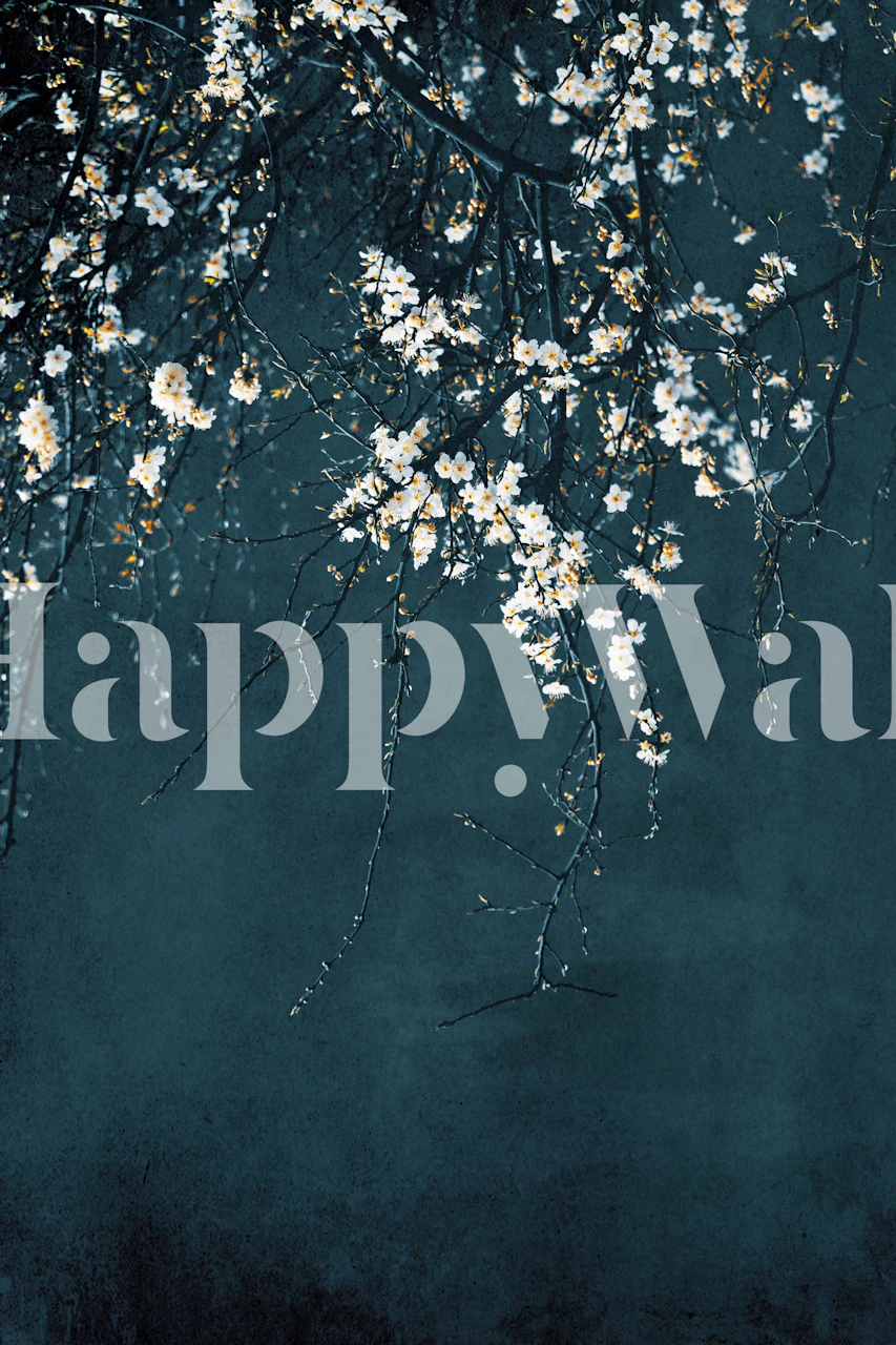 Fototapeta Éterické bílé květy na tmavě modrém pozadí