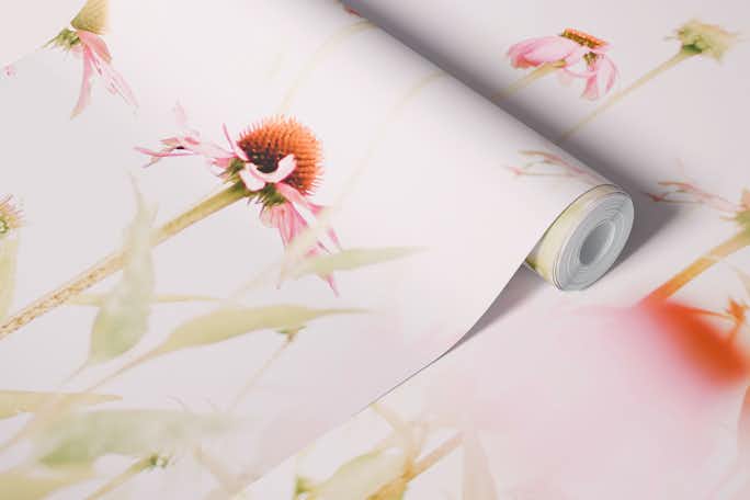 Flowers Pink Echinaceawallpaper roll
