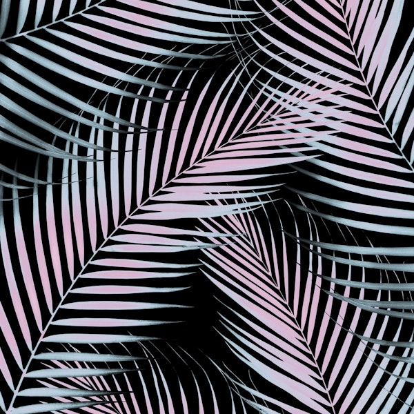 Palm Leaves Cali Vibes 3