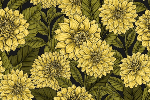 Yellow Dahlia garden