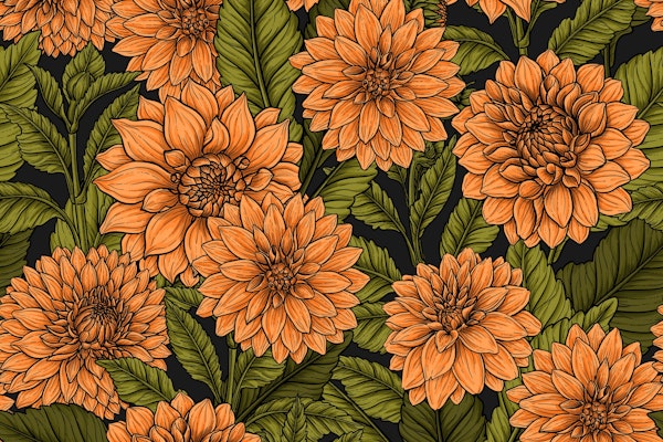 Orange Dahlia garden