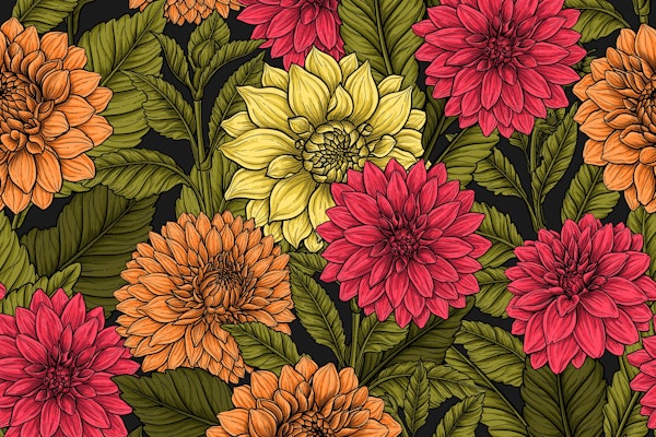 Dahlia garden