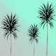 Saint Tropez Feeling 3