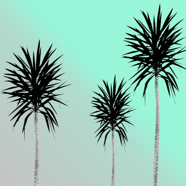 Saint Tropez Feeling 3