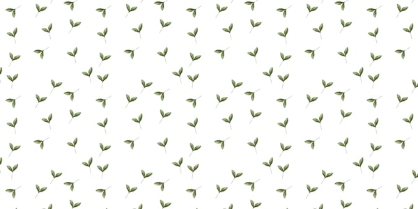 Romantic handrawn leaves