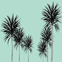 Saint Tropez Feeling 1 behang