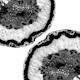 Gray Black Agate Glitter 2