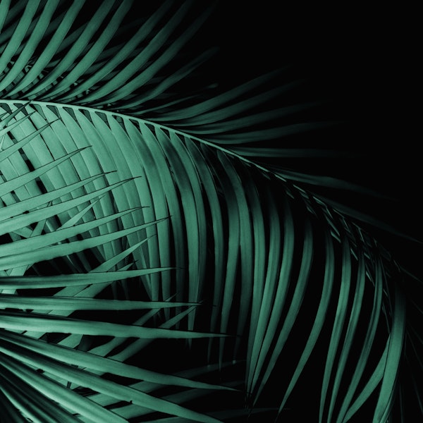 Palm Leaves Green Vibes 7