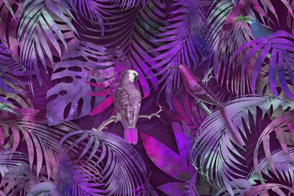 Parrots Mystic Jungle Pink