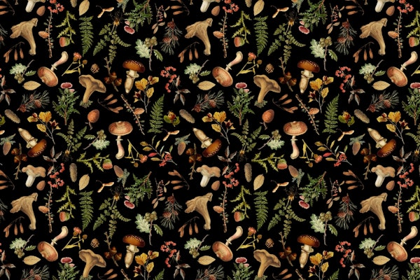 Vintage Mushrooms Forest