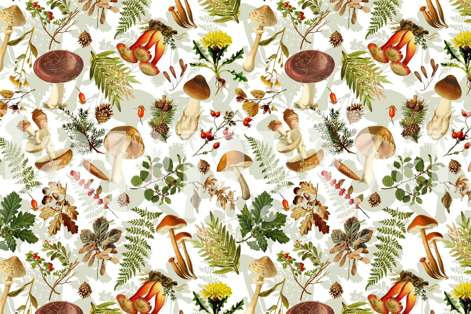 Vintage Mushrooms Forest 1 Wallpaper - Happywall