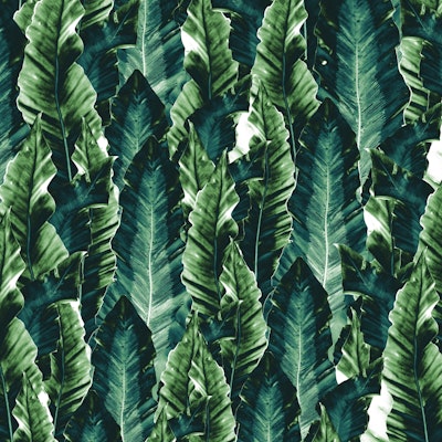 Mural