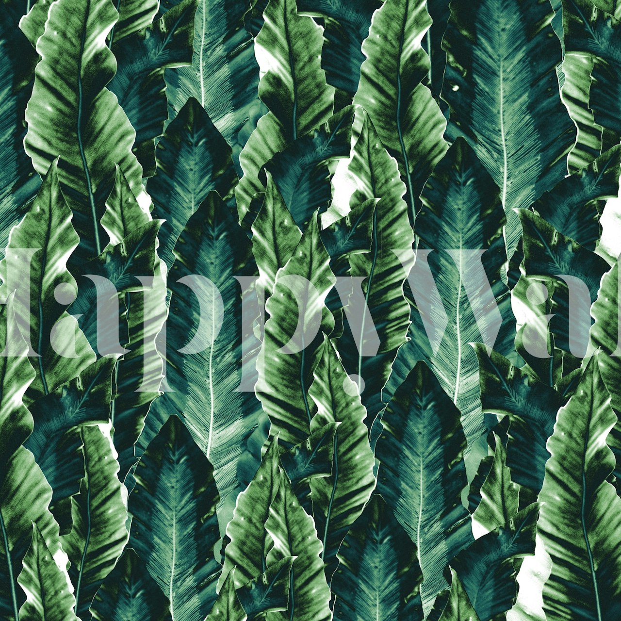 Tropical leaf wallpaper featuring lush green foliage pattern