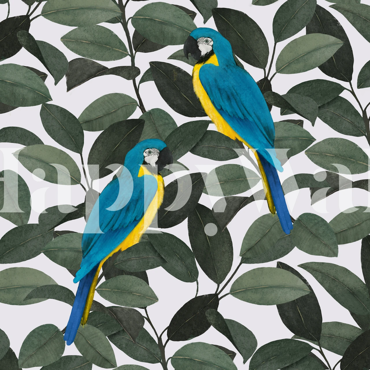 Parrots and ficus Tapete in einem Zimmer